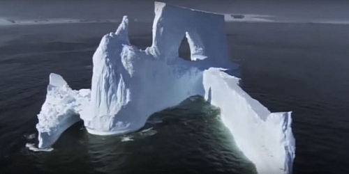 Tundra Biomes Locations, Climate, Plants and Animals