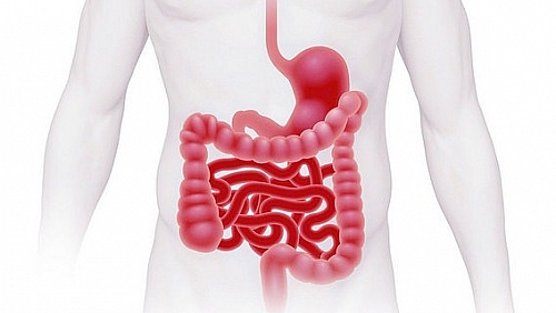 Irritable Bowel Syndrome (IBS) Symptoms, Signs, Causes